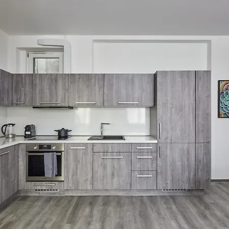 Appartement Minimalist On Wenceslas Square By Days *